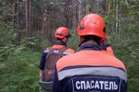 В лесу Ермаковского района спасатели третьи сутки ищут пропавшего мужчину
