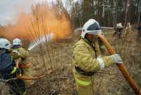 На юге Сибири снова горели леса
