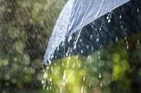 Жара на юге края и в Хакасии сменится дождями и похолоданием