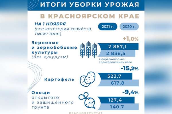 Меньше овощей, но больше зерновых: в Красноярском крае подвели итоги уборочной кампании