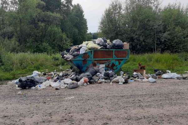 Минусинское горхозяйство не справляется с «мусорной реформой» в селах Курагинского района