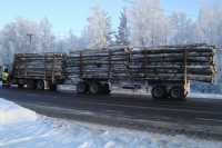 В Минусинском районе нарушили правила перевозки леса