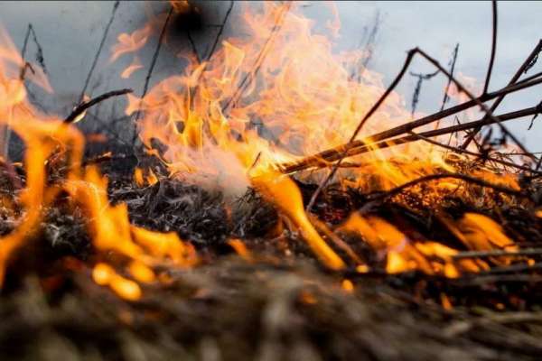 Пожарные отстояли от огня посёлок под Минусинском