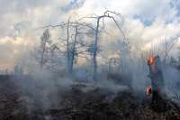 В Хакасии за минувшие выходные сгорело более 140 га леса