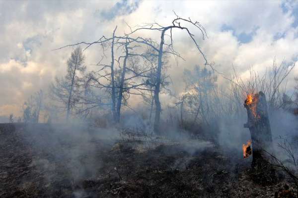В Хакасии за минувшие выходные сгорело более 140 га леса