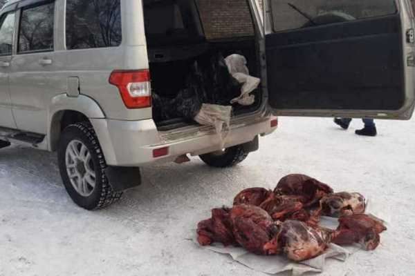 В Абакане задержали водителя, который развозил дикое мясо