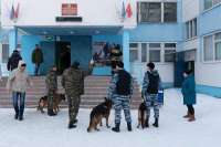 В школах Минусинска отменили занятия
