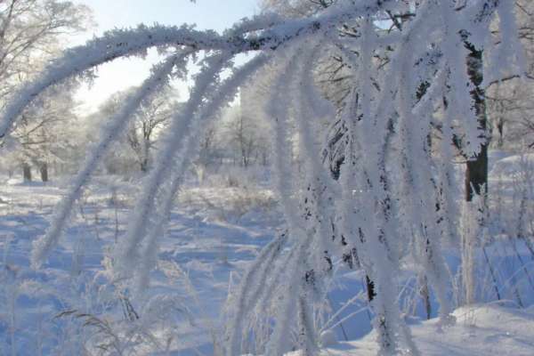 Жителям юга Сибири пообещали снежный февраль