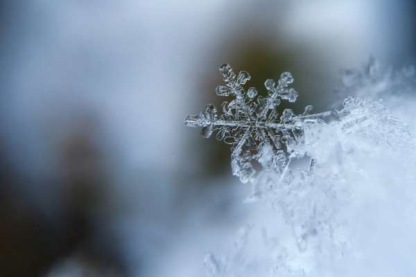 Синоптики обещают жителям юга Сибири неоднородный и снежный декабрь