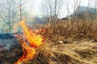 В Хакасии из-за пала травы чуть не случилась беда