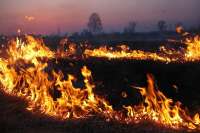 В Хакасии чуть не сгорело село Белый Яр