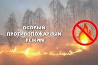 Пожарные подвели итоги за апрель в Минусинском районе и Минусинске