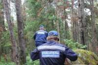 В лесу Минусинского района ведутся поиски потерявшегося сторожа охотничьего угодья