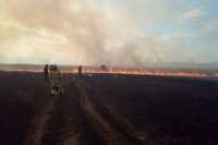 В Хакасии за выходные произошло 33 возгорания, среди них – крупные палы травы