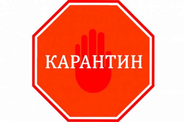 В Минусинске и городах Хакасии идут проверки карантина в сфере торговли и услуг