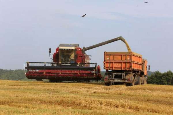 Красноярский край стал одним из лучших по сбору урожая зерна