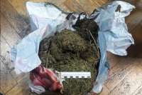 У жителя села Советская Хакасия нашли более 300 гр. марихуаны