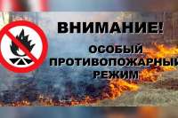На юге Красноярского края введён особый противопожарный режим