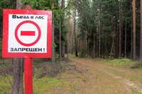 В Красноярском крае ограничен въезд в лесную зону