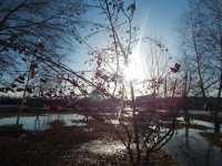 Сегодня в Минусинске весна празднует победу над зимой