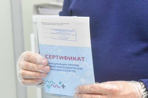 Сенатор от Красноярского края пояснил, что за покупку фальшивого сертификата о вакцинации грозит лишение свободы
