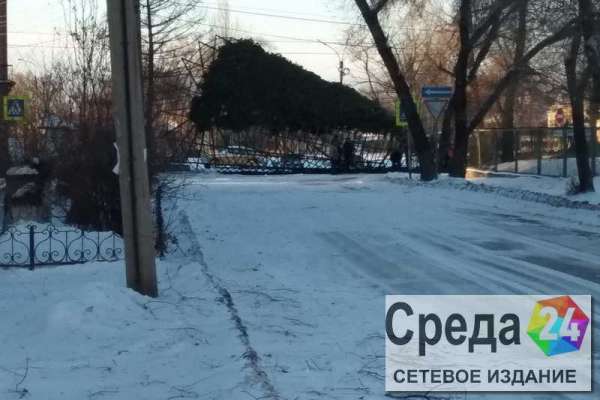 Появилась видеозапись падения елки в Минусинске