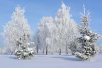 Морозы в Минусинске и Абакане задержатся ещё на несколько дней