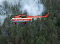 Начало лета принесло Минусинскому и Ермаковскому районам лесные пожары