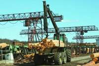 На юге края может появиться завод по переработке «зараженной» древесины