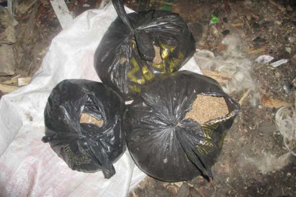 В Минусинском районе у местного жителя изъяли более 1 кг марихуаны