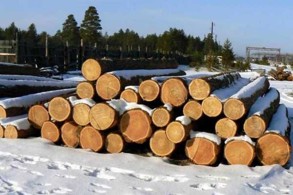 В Минусинском районе незаконно отгружали древесину