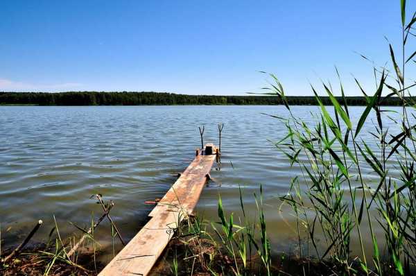 Безопасной для купания признана вода в двух озерах возле Минусинска