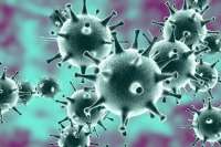За выходные в Минусинске и Минусинском районе 33 человека заразились коронавирусом