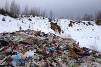 Несанкционированная свалка в Минусинске вошла в реестр объектов накопленного вреда