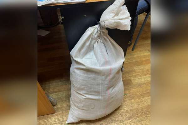 Житель Хакасии заготовил на зиму 4,6 кг марихуаны, но был задержан