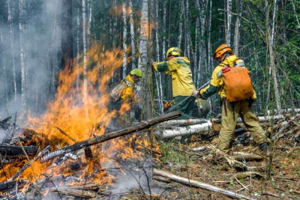 В крае к тушению лесных пожаров подключились дополнительные силы МЧС