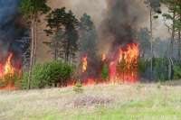 В Минусинском районе спасатели потушили пожар в районе ТЭЦ