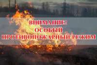 В Минусинске и районе ввели особый противопожарный режим