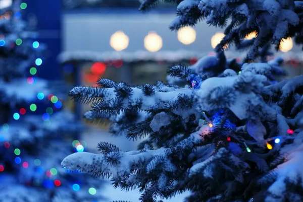 Синоптики юга Сибири рассказали о погоде в новогоднюю ночь