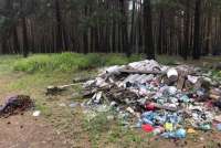 Власти Минусинского района просят граждан не выбрасывать мусор в бору