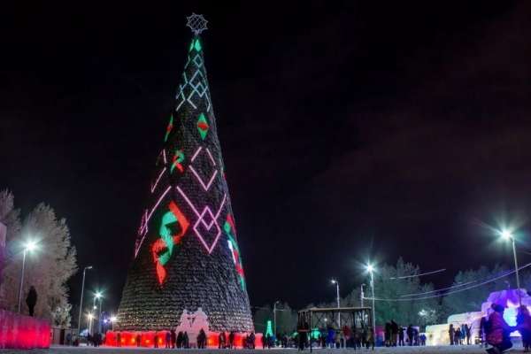 Самую дорогую в России красноярскую елку будут сдавать в аренду