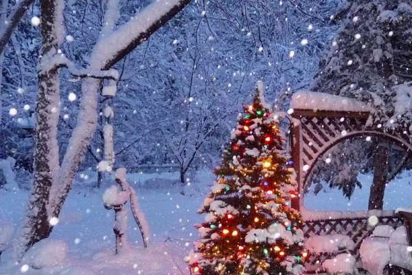 Снег и лёгкий мороз ждёт минусинцев и абаканцев в новогоднюю ночь