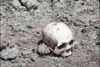 В Туве на озере обнаружили неизвестный череп