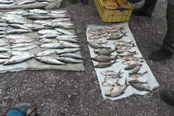 Браконьеру из Хакасии грозит лишение свободы за рыбалку сетью