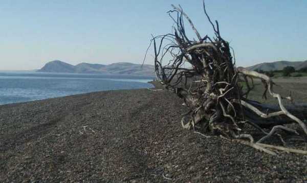 Минусинские кладоискатели нашли на берегу труп человека