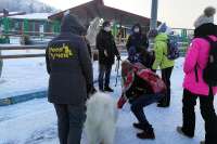 В Красноярске открылся первый детский клуб обучения езды на собаках