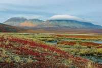 Россияне смогут получить бесплатный гектар в Арктической зоне Красноярского края