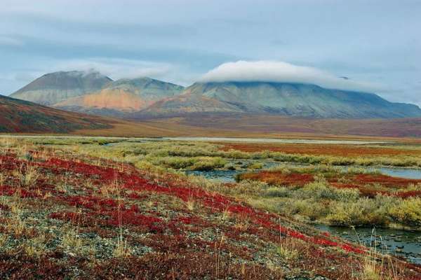 Россияне смогут получить бесплатный гектар в Арктической зоне Красноярского края