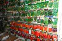 В Минусинске изъяты из оборота тысячи пакетов опасных семян