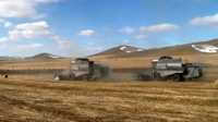 На минусинский мелькомбинат привезут &quot;весенний&quot; урожай пшеницы